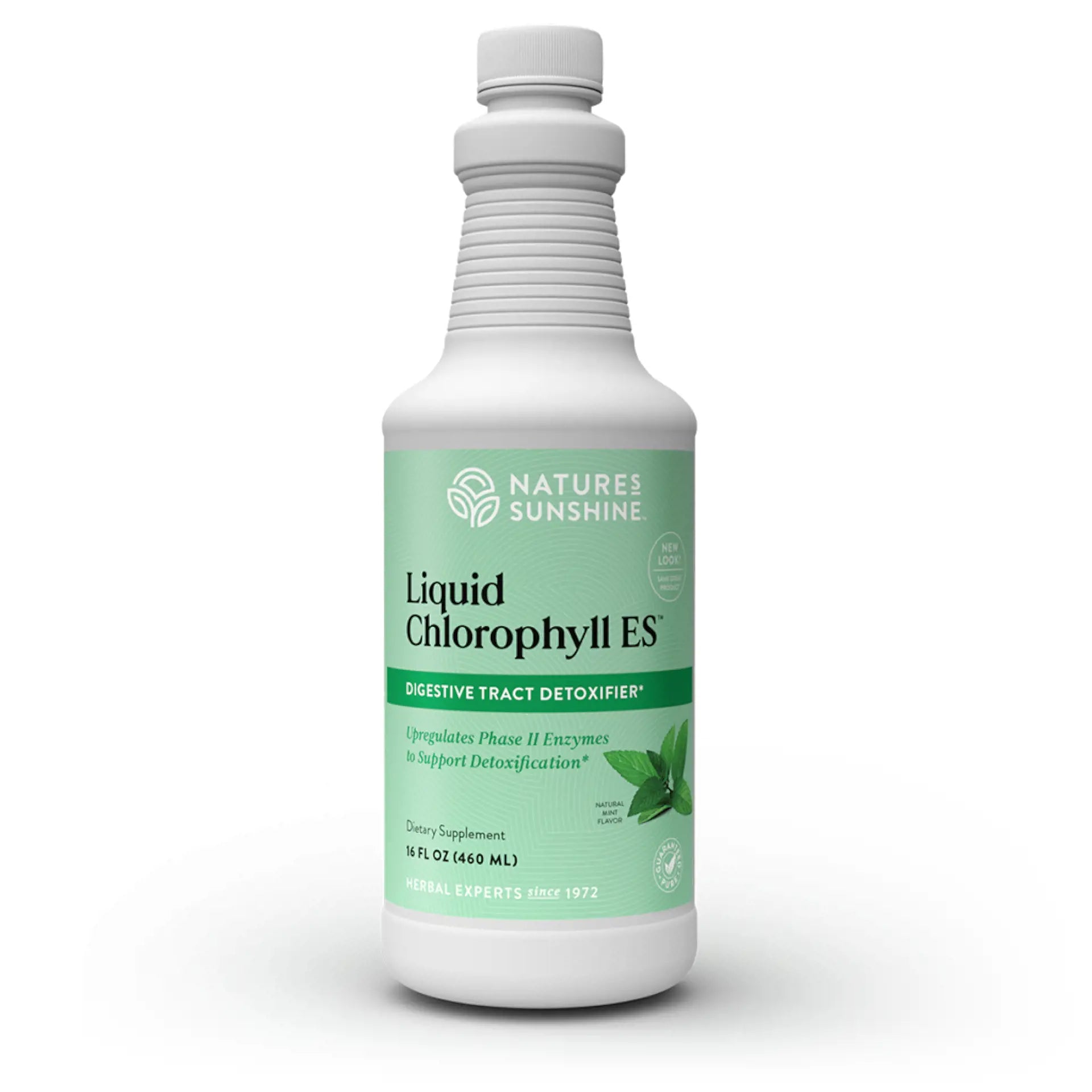 Chlorophyll, Liquid ES 16 fl oz Good Health Herbs Chlorophyll, Liquid ES 16 fl oz Good Health Herbs