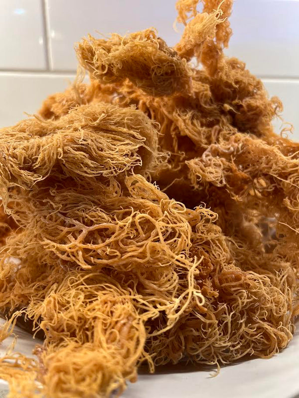 Sea Moss, Golden, bulk (oz)