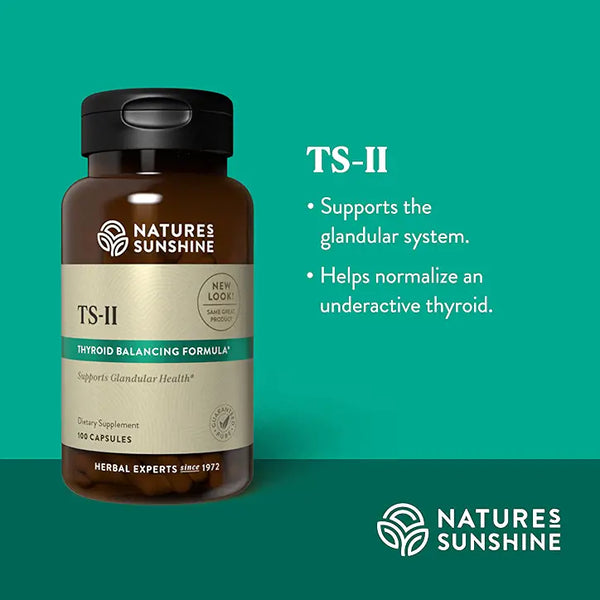 TS II