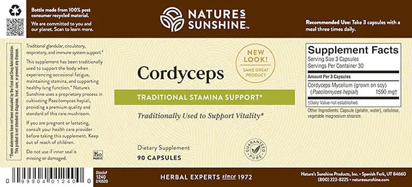 Cordyceps Chinese