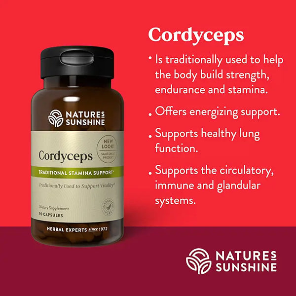 Cordyceps Chinese