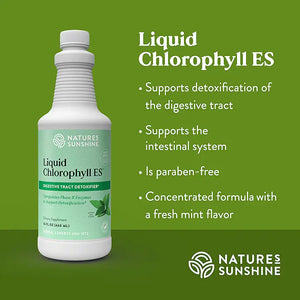 Chlorophyll, Liquid  ES 16 fl oz