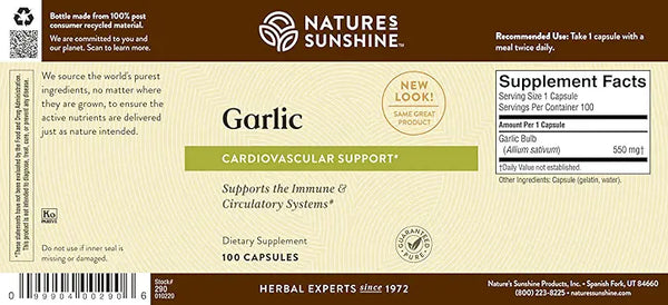 Garlic