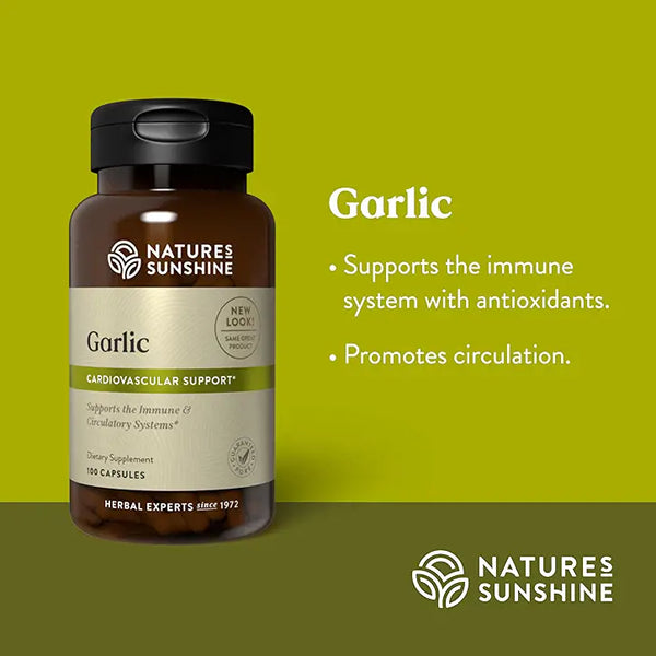 Garlic