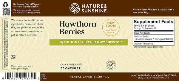 Hawthorn Berries