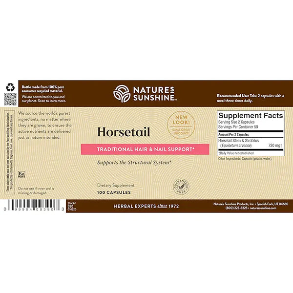 Horsetail