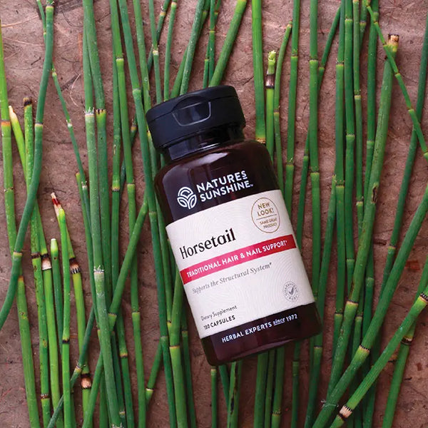 Horsetail