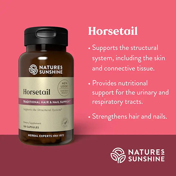 Horsetail
