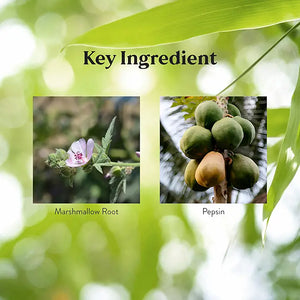 Small Intestine Detox