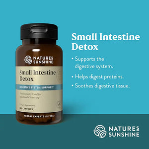 Small Intestine Detox