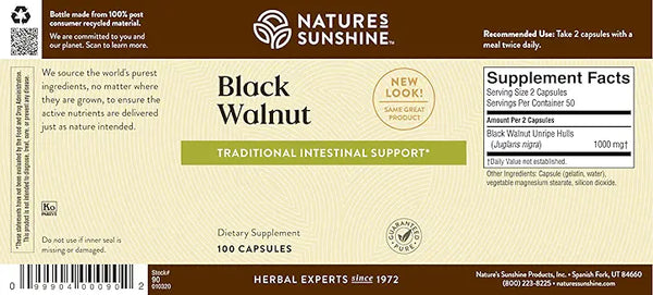 Black Walnut
