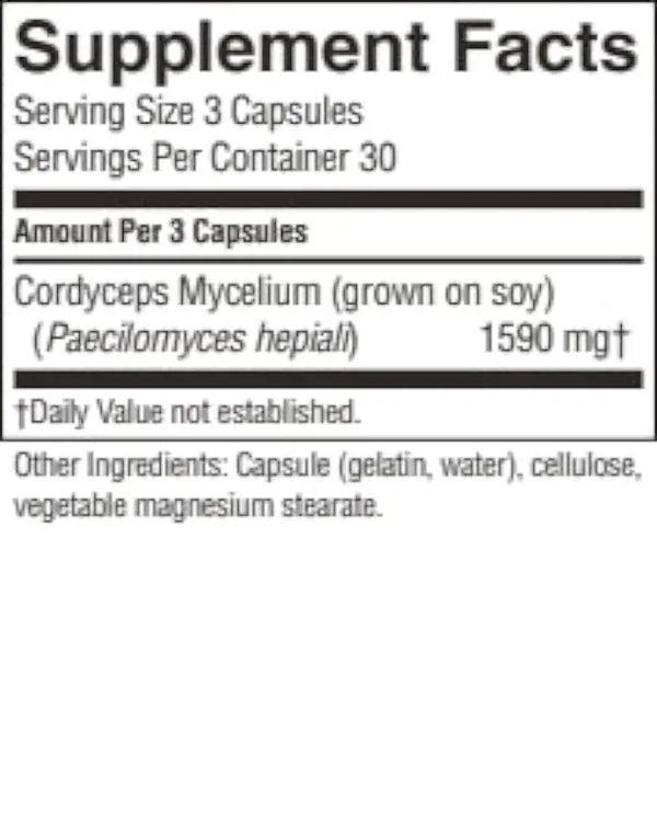 Cordyceps Chinese