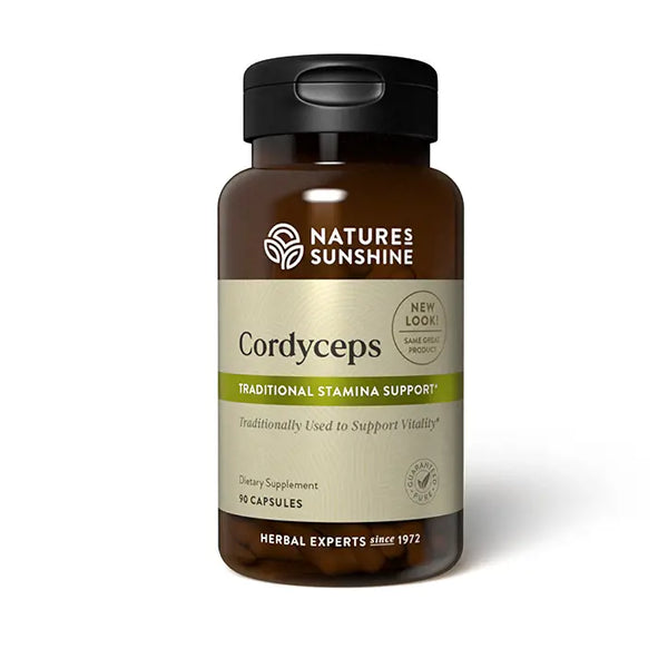 Cordyceps Chinese