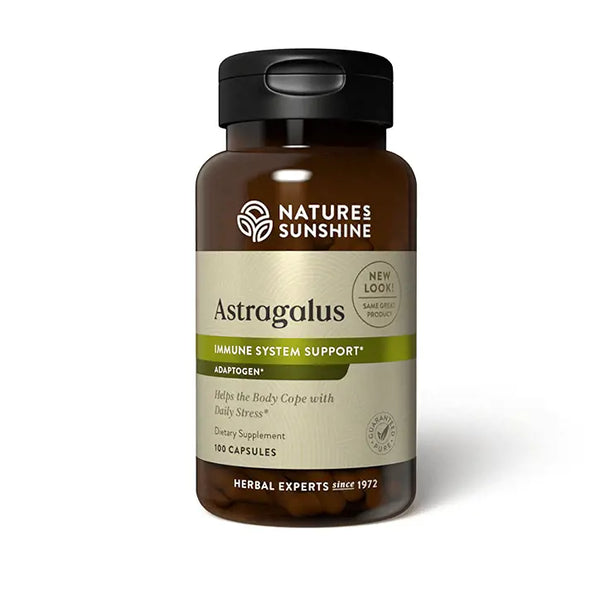 Astragalus