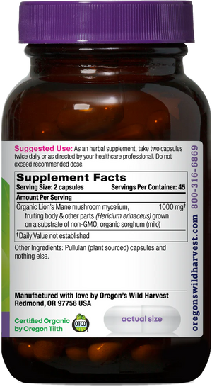 Lion's Mane, Organic Capsules