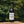 Red Root & Co. Oxymels