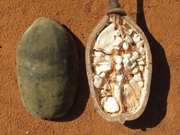 Baobab, bulk (oz)