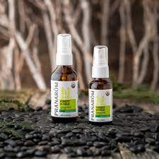 Forest & Field Defense Insect Spray