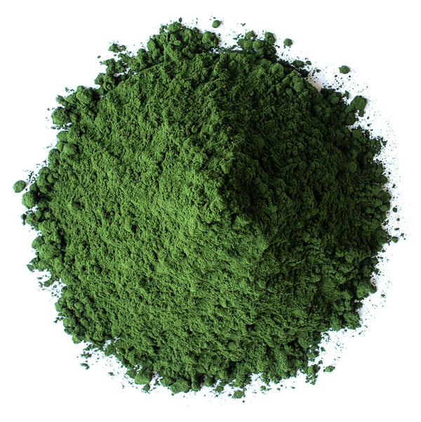 Chlorella Powder, bulk (oz)