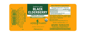 Black Elderberry *Alcohol-Free