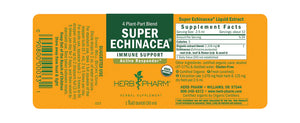 Super Echinacea
