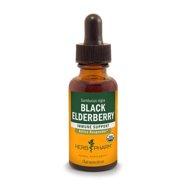Black Elderberry *Alcohol-Free