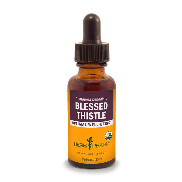 Blessed Thistle