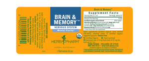 Brain & Memory