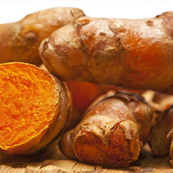 Turmeric